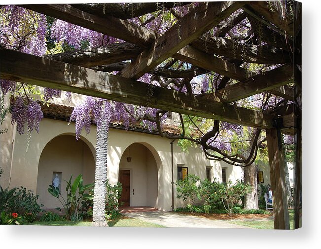 Wisteria Acrylic Print featuring the photograph Wisteria Arbor by Carolyn Donnell
