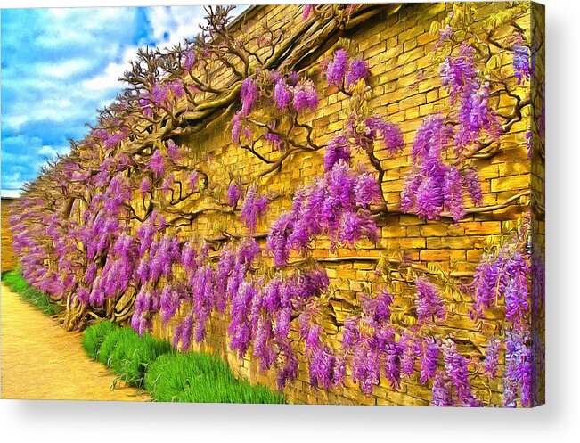 Wisteria Acrylic Print featuring the photograph Wisteria by Scott Carruthers