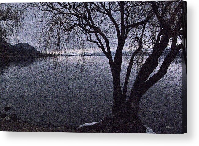 Silhouette Acrylic Print featuring the photograph Be-witching Willow by Christopher Byrd