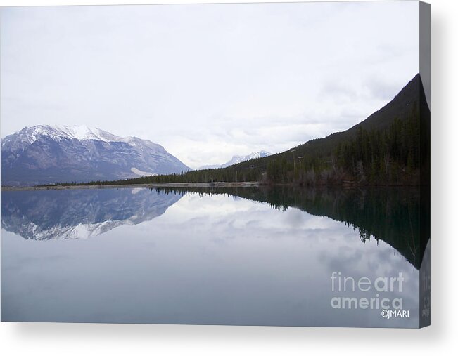 #nature Acrylic Print featuring the photograph With A Clear Conscience by Jacquelinemari