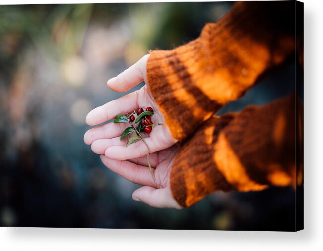 Woman Acrylic Print featuring the photograph Woman hands holding cranberries by Aldona Pivoriene