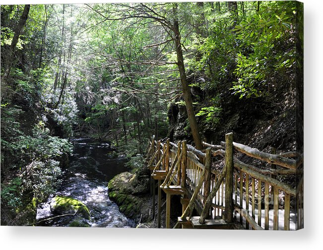 Bushkill Falls Acrylic Print featuring the photograph Wooden Trails - Four by Andrew Dinh