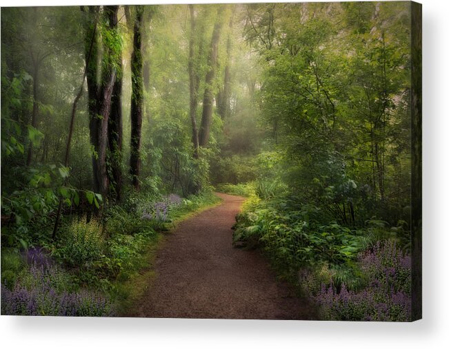 Nature Acrylic Print featuring the photograph A New Spring by Robin-Lee Vieira