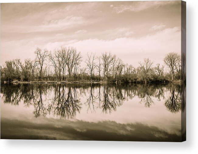 Forest Preserve Acrylic Print featuring the photograph Woods of Wayne on Reflection by Joni Eskridge