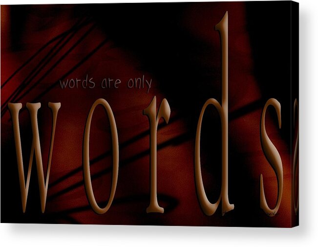 Implication Acrylic Print featuring the photograph Words Are Only Words 5 by Vicki Ferrari