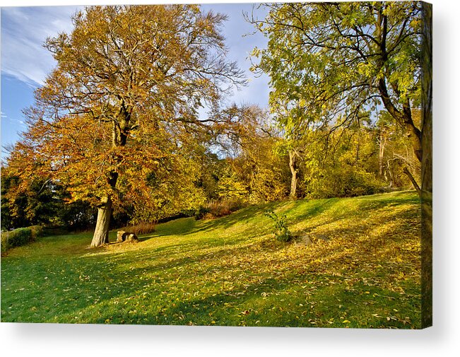 Scotland Acrylic Print featuring the photograph Yellow autumn. by Elena Perelman
