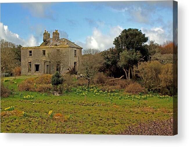 Ruins Acrylic Print featuring the photograph Yellow Daffodils by Jennifer Robin