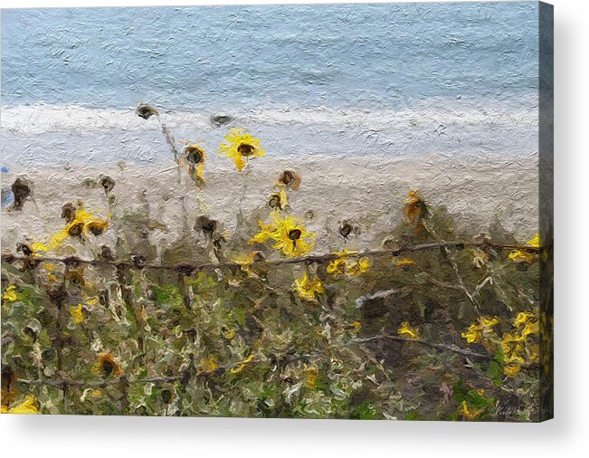 Yellow Acrylic Print featuring the painting Yellow Wildflowers- Art by Linda Woods by Linda Woods
