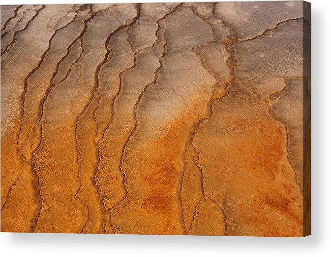 Texture Acrylic Print featuring the photograph Yellowstone 2530 by Michael Fryd