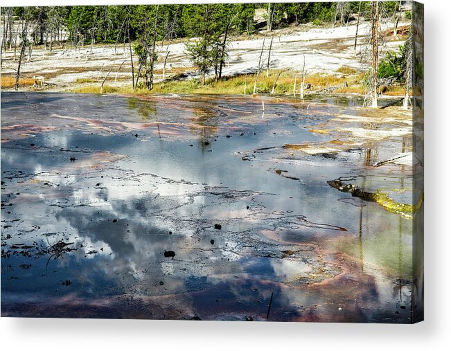 Yellowstone Acrylic Print featuring the photograph Yellowstone Colors #4 by Scott Read