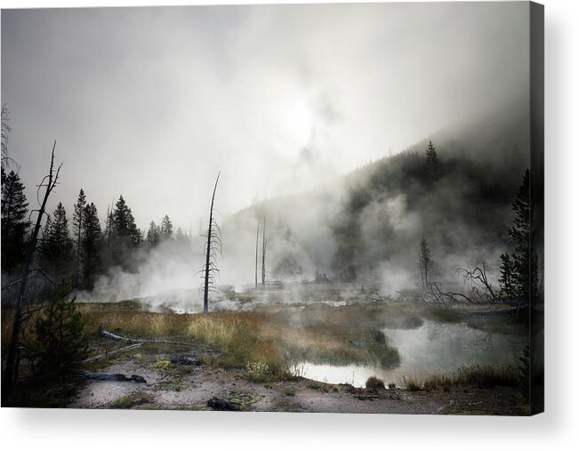 Yellowstone Acrylic Print featuring the photograph Yellowstone Morning Fog by James Bethanis