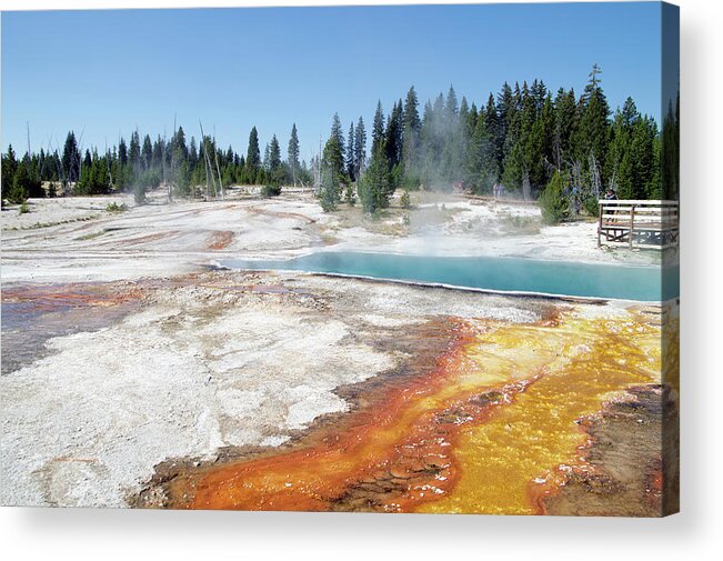 Black Pool Acrylic Print featuring the photograph Yellowstone Park Black Pool In August 02 by Thomas Woolworth