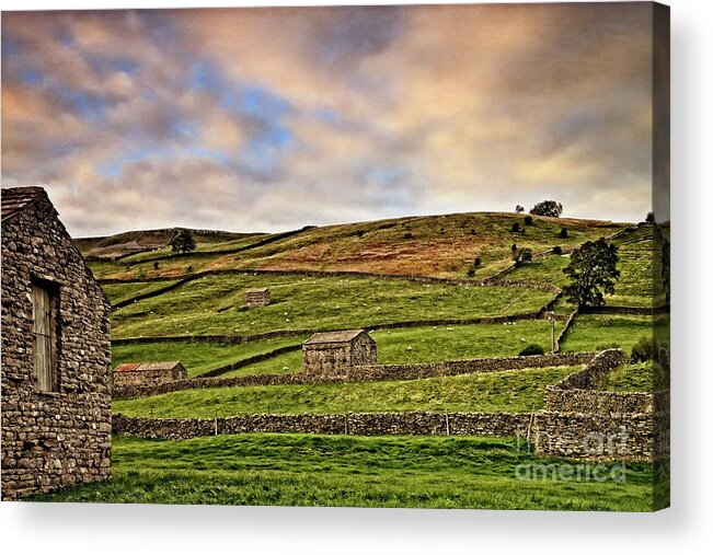 Yorkshire Acrylic Print featuring the photograph Yorkshire Dales Stone Barns and Walls by Martyn Arnold