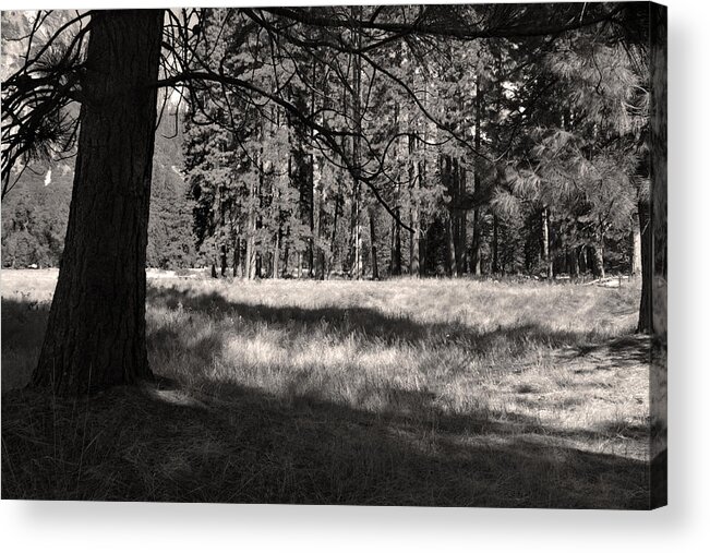Yosemite Acrylic Print featuring the photograph Yosemite Meadow by Joanne Coyle