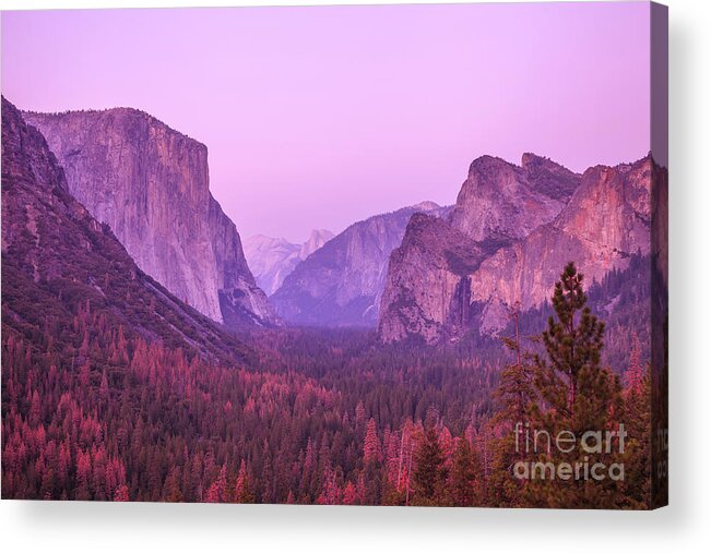 Yosemite Acrylic Print featuring the photograph Yosemite pink sunset by Benny Marty