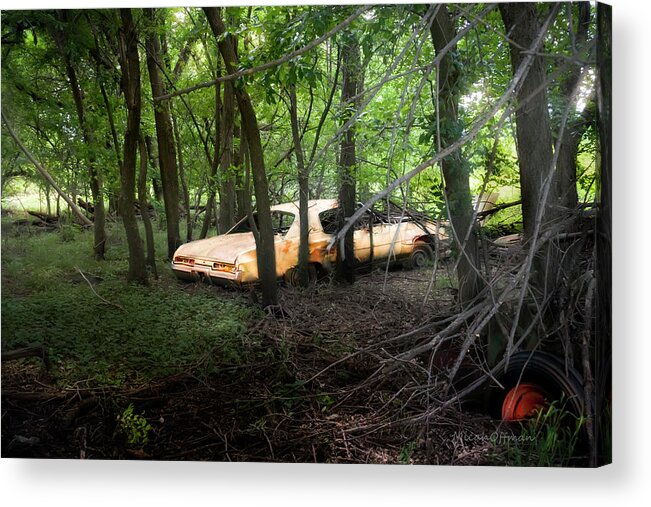 Abandoned Acrylic Print featuring the photograph Your automobile gonna fall apart by Micah Offman