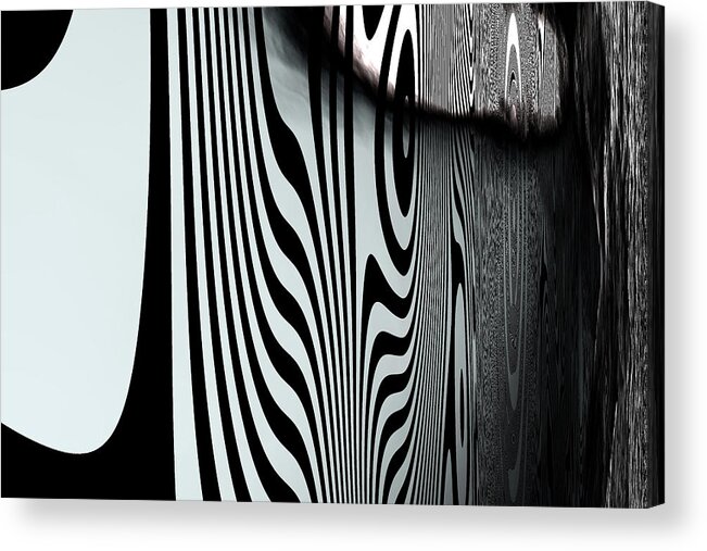 Zebra Trip Acrylic Print featuring the digital art Zebra Trip by Laura Boyd