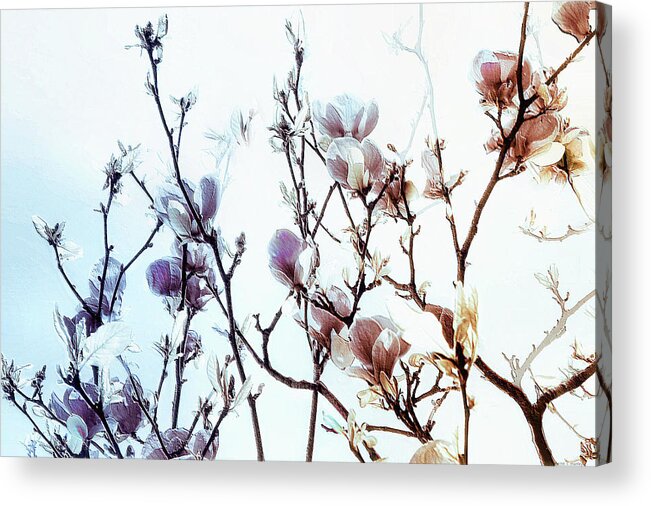 Zen Acrylic Print featuring the photograph Zen Thoughts by Elaine Manley