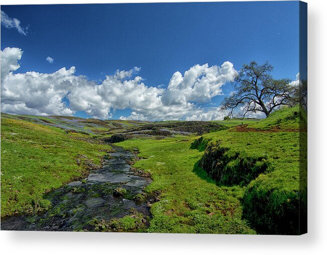 Spring Acrylic Print featuring the photograph And Miles To Go #2 by Tom Kelly