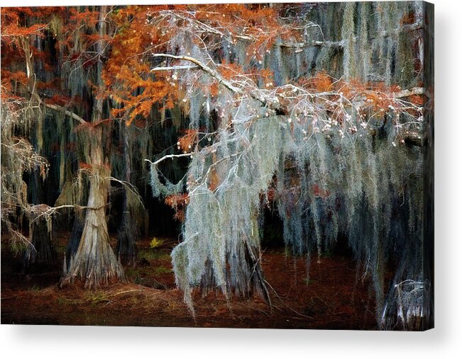Autumn Acrylic Print featuring the photograph Autumn Moss #1 by Lana Trussell