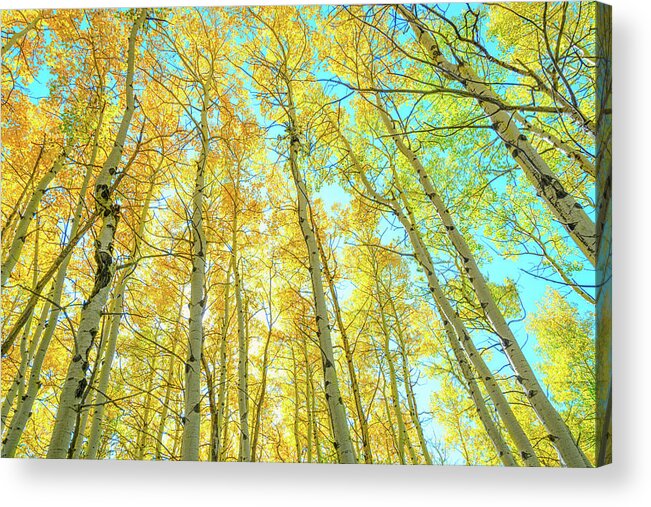 Colorado Acrylic Print featuring the photograph Beautiful Day #1 by James BO Insogna