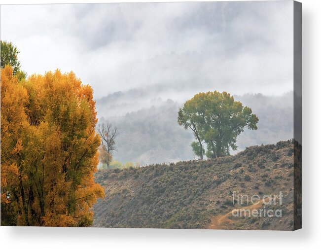  Acrylic Print featuring the photograph Behind the Veil #1 by Jim Garrison