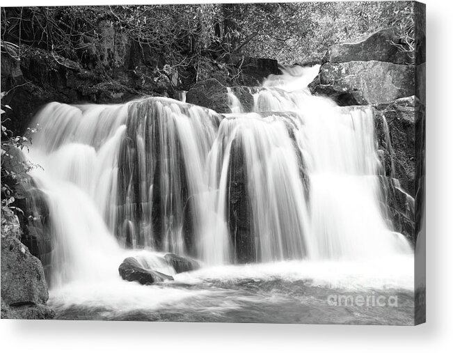 Smoky Mountains Acrylic Print featuring the photograph Black And White Waterfall by Phil Perkins