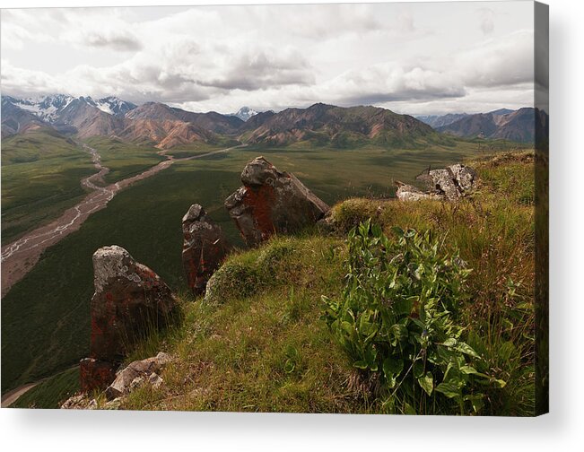 Tranquility Acrylic Print featuring the photograph Denali Np Landscape #1 by John Elk