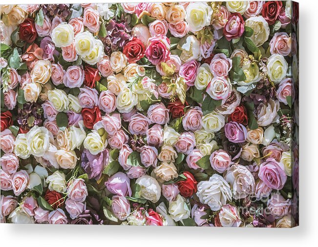 Shanghai Acrylic Print featuring the photograph Flowers Backgrouds #1 by Yang Zhuo