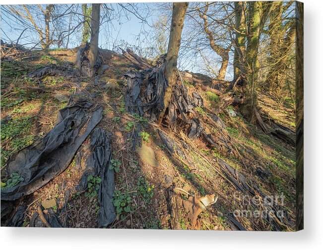 Fly Tip Acrylic Print featuring the photograph Fly Tipped Waste Over Field Fence Into Stream Gulley #1 by Andy Davies/science Photo Library