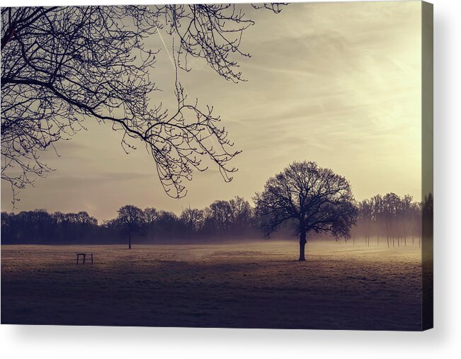 Landscape Acrylic Print featuring the photograph Morning Haze #1 by Svetlana Sewell