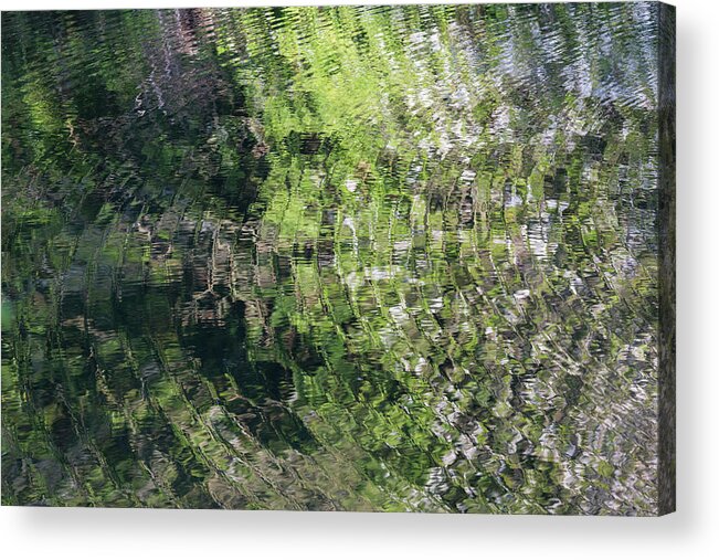 Ripples Acrylic Print featuring the photograph Ripples On The River With Blossom Reflections #1 by Anita Nicholson