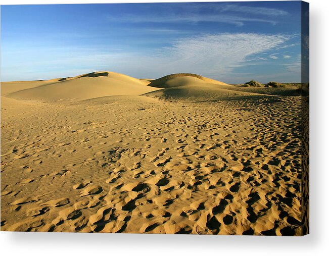 Scenics Acrylic Print featuring the photograph Sand Dunes #1 by Bremecr