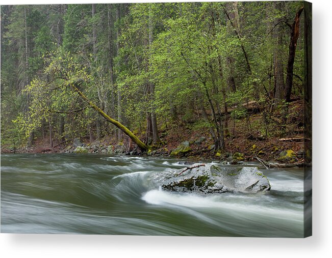 Tranquility Acrylic Print featuring the photograph Scenic Image Of The Merced River #1 by Justin Bailie
