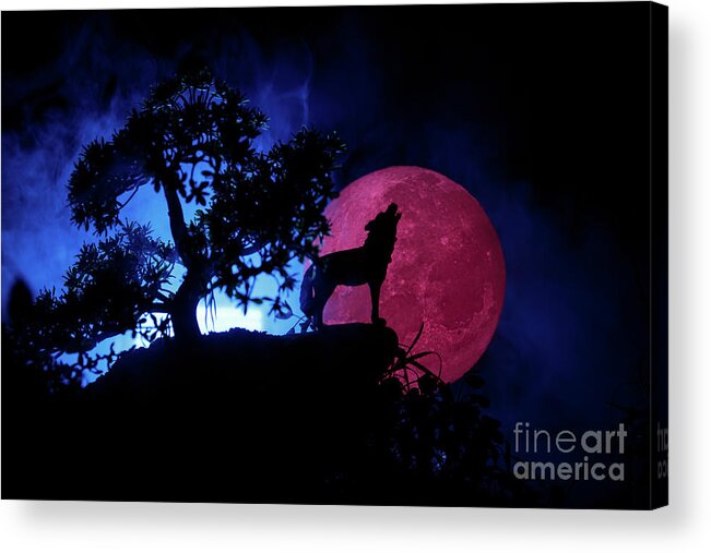 Fairy Tale Acrylic Print featuring the photograph Silhouette Of Howling Wolf Against Dark #1 by Zeferli
