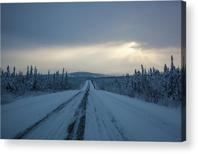 Ip_71076888 Acrylic Print featuring the photograph Snow Covered Trees At Dalton Highway, Yukon-koyukuk Census Area, Alaska, Usa #1 by Jrg Reuther