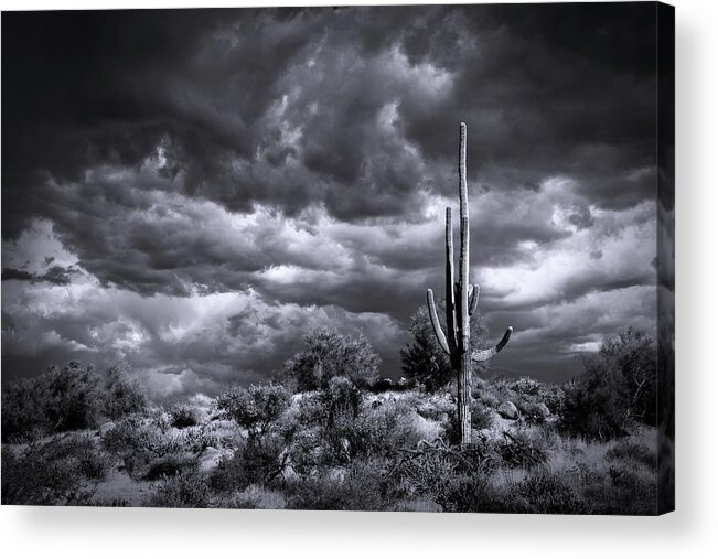 Arizona Acrylic Print featuring the photograph Stormy Desert Skies In Black And White #1 by Saija Lehtonen