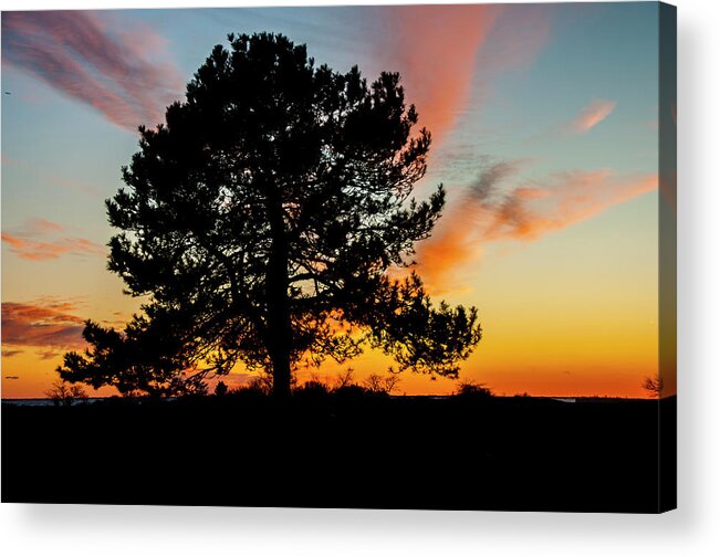 Tree Acrylic Print featuring the photograph Sunset Silhouette by Cathy Kovarik