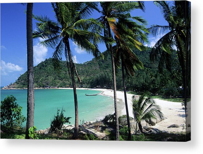 Tropical Tree Acrylic Print featuring the photograph Thailand, Koh Phangan, Bottle Beach #1 by Tropicalpixsingapore