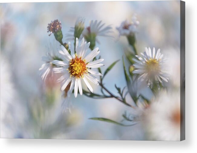 Flower Acrylic Print featuring the photograph Touches 4 by Jaroslav Buna
