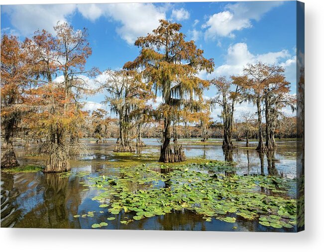 Estock Acrylic Print featuring the digital art Trees In Lake #1 by Roland Gerth