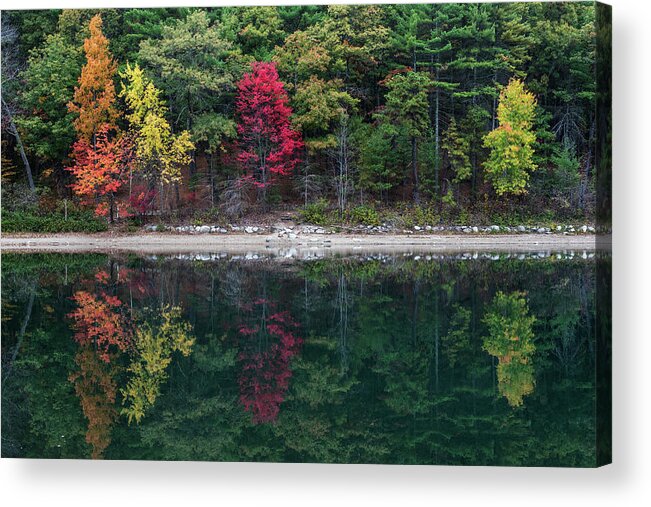 Walden Acrylic Print featuring the photograph Walden Pond Fall Foliage Concord MA Reflection Trees #1 by Toby McGuire