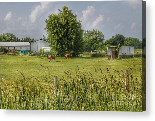 Landscape Acrylic Print featuring the photograph 1032 - Hunters Creek Ponies by Sheryl L Sutter