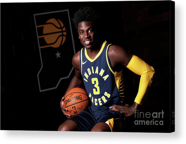 Media Day Acrylic Print featuring the photograph 2018-19 Indiana Pacers Media Day by Ron Hoskins