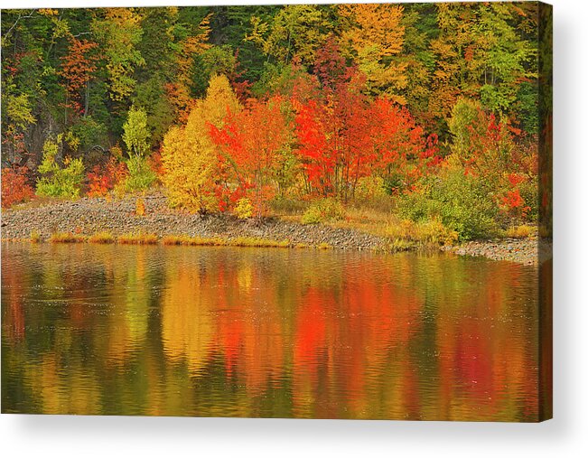 Autumn Acrylic Print featuring the photograph Canada, Nova Scotia #13 by Jaynes Gallery