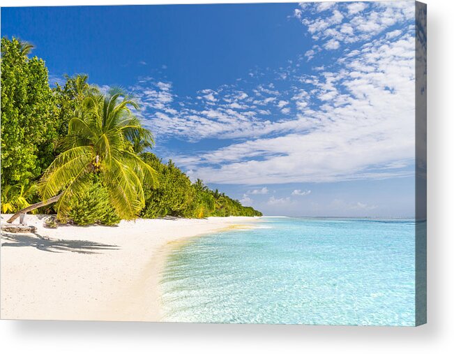 Landscape Acrylic Print featuring the photograph Beautiful Beach With Palm Trees #17 by Levente Bodo