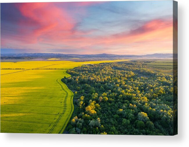 Landscape Acrylic Print featuring the photograph Aerial Drone Top View Of Yellow #2 by Ivan Kmit