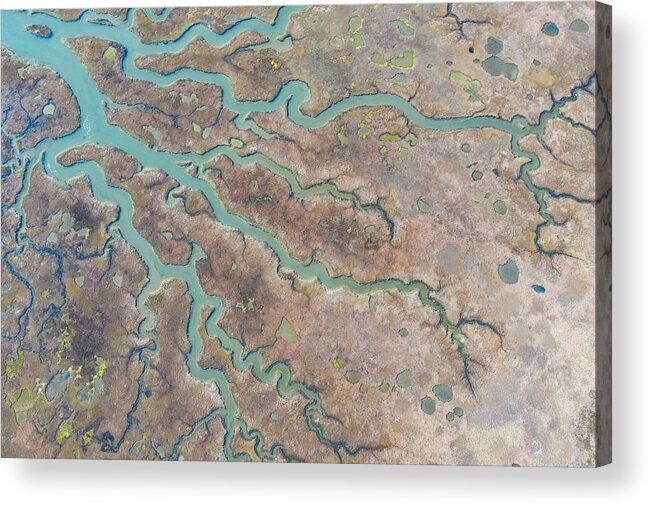 Landscapeaerial Acrylic Print featuring the photograph Meandering Channels Run #2 by Ethan Daniels