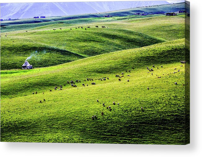 Tranquility Acrylic Print featuring the photograph Qiongkushitai Grassland, Yili, Xinjiang #2 by Feng Wei Photography