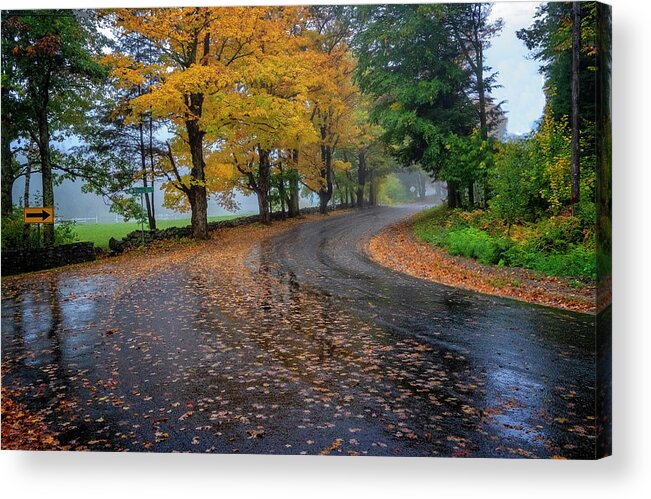 Spofford Lake New Hampshire Acrylic Print featuring the photograph Autumn Road #3 by Tom Singleton